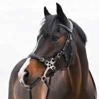 Hackamore in cuoio Jump'In con branche corte e piatte Pony Nero