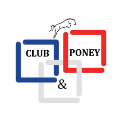 Morso Pelham Jump'In rami piccoli in gomma rigida