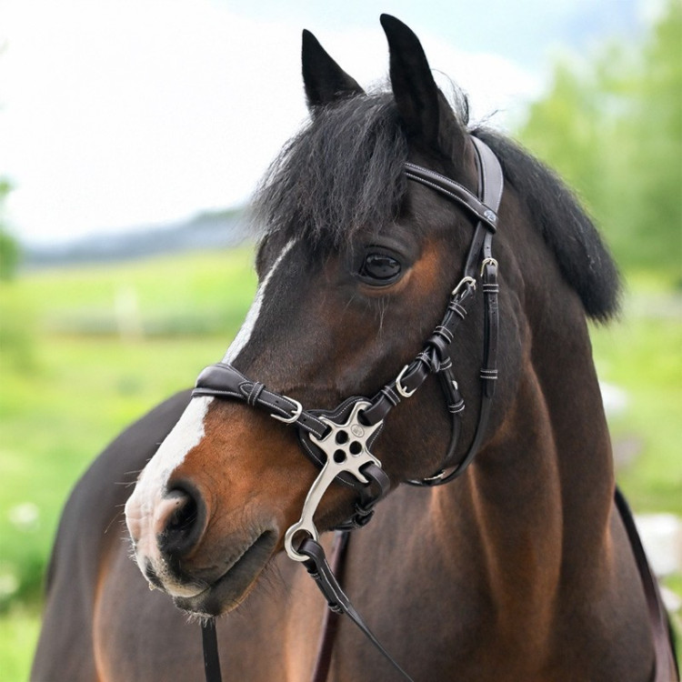 Bridon Hackamore Jump'In One Premium