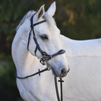 Bridon Hackamore Jump'In One Premium Avana Marrone Bridon Hackamore Jump'In One Premium Avana Marrone