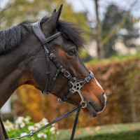 Bridon Hackamore Jump'In One Premium Avana Marrone Bridon Hackamore Jump'In One Premium Avana Marrone