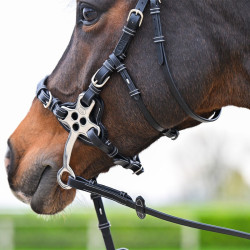 Bridon Hackamore Jump'In One Premium Avana Marrone