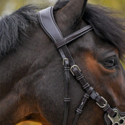 Bridon Hackamore Jump'In One Premium Avana Marrone