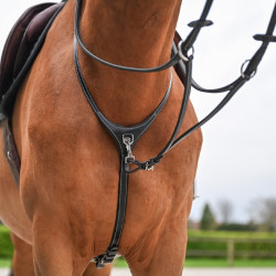 Collare e martingala amovibile Jump'In Collezione One Premium