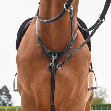 Collare e martingala amovibile Jump'In Collezione One Premium Collare e martingala amovibile Jump'In Collezione One Premium