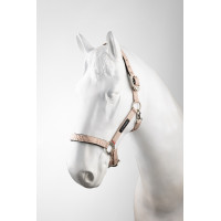 Capezza Hardwick B Vertigo Rosa seppia