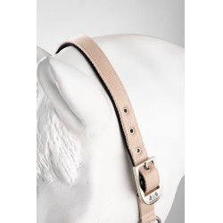 Capezza Hardwick B Vertigo Rosa seppia