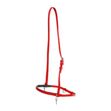 CAPEZZA SINTETICA CON ANELLO Rosso