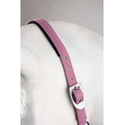 Capestro e lunghina Horze Graffiti Pony Begonia rosa