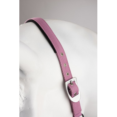 Capestro e lunghina Horze Graffiti Pony Begonia rosa