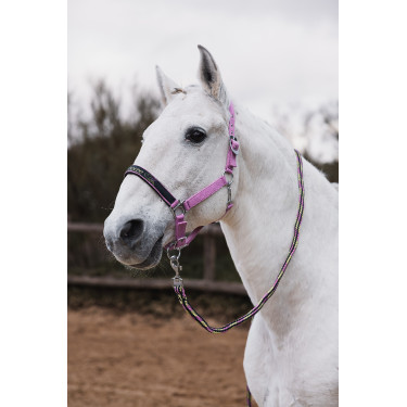 Capestro e lunghina Horze Graffiti Pony Begonia rosa