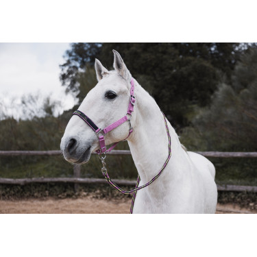 Capestro e lunghina Horze Graffiti Pony Begonia rosa