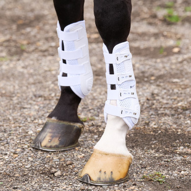 Ghette da dressage HV Polo Pro Movement Ghette da dressage HV Polo Pro Movement