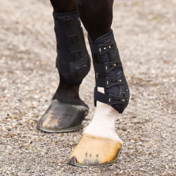 Ghette da dressage HV Polo Pro Movement Nero