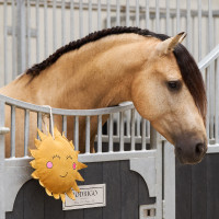Giocattolo per il box Imperial Riding Sunny Giallo