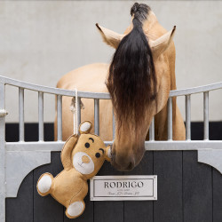 Giocattolo per il box Imperial Riding Teddy Giocattolo per il box Imperial Riding Teddy