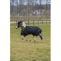 Coperta Irish Turnout Bucas 100g Nero / oro Coperta Irish Turnout Bucas 100g Nero / oro