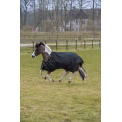 Coperta Irish Turnout Bucas 100g Nero / oro Coperta Irish Turnout Bucas 100g Nero / oro