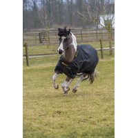 Coperta Irish Turnout Bucas 100g Nero / oro Coperta Irish Turnout Bucas 100g Nero / oro