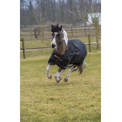 Coperta Irish Turnout Bucas 100g Nero / oro Coperta Irish Turnout Bucas 100g Nero / oro