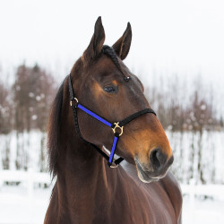 CAPEZZA YANKEE IN NYLON 20 MM Nero / blu