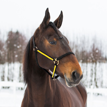 CAPEZZA YANKEE IN NYLON 20 MM Nero / giallo