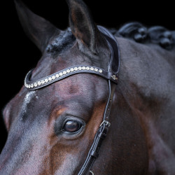 Briglia HV Polo Legacy Anatomica deluxe Marrone cioccolato