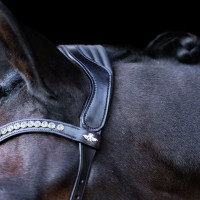 Briglia HV Polo Legacy Anatomica deluxe Nero