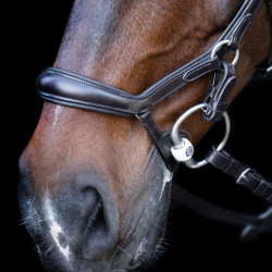 Briglia HV Polo Legacy Anatomica deluxe Marrone cioccolato