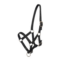 Cavezzone puledro HV Polo Nena Nero