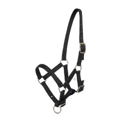 Cavezzone puledro HV Polo Nena Nero