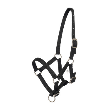 Cavezzone puledro HV Polo Nena Nero