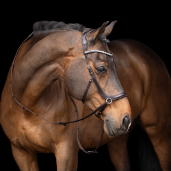 Capezza senza imboccatura HV Polo Legacy