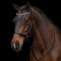 Capezza senza imboccatura HV Polo Legacy