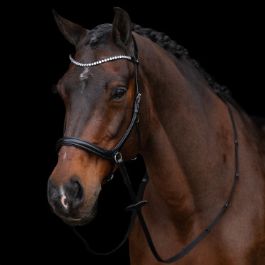 Capezza senza imboccatura HV Polo Legacy
