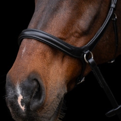 Capezza senza imboccatura HV Polo Legacy Nero