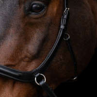 Capezza senza imboccatura HV Polo Legacy Nero