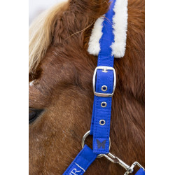 Capestro e lunghina Harcour Teschic Blu elettrico