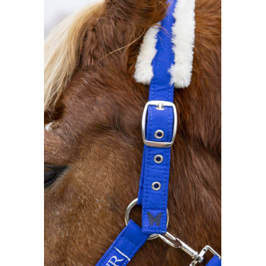 Capestro e lunghina Harcour Teschic Blu elettrico