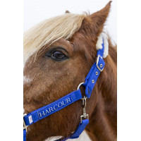 Capestro e lunghina Harcour Teschic Blu elettrico Capestro e lunghina Harcour Teschic Blu elettrico