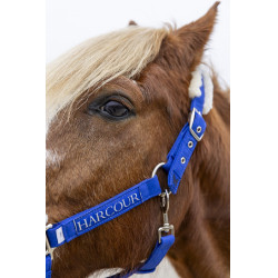 Capestro e lunghina Harcour Teschic Blu elettrico