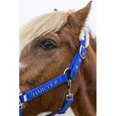 Capestro e lunghina Harcour Teschic Blu elettrico