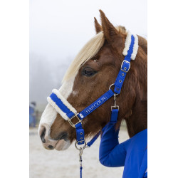Capestro e lunghina Harcour Teschic Blu elettrico