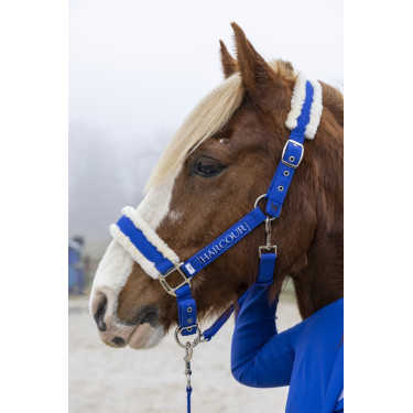 Capestro e lunghina Harcour Teschic Blu elettrico