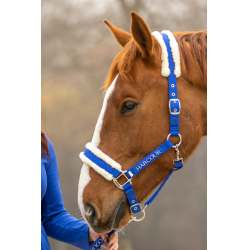 Capestro e lunghina Harcour Teschic Blu elettrico