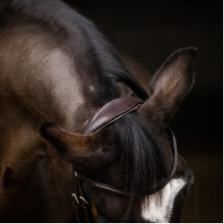 Bridon Stübben Pro-Jump con Slide&Lock Ebano / ebano