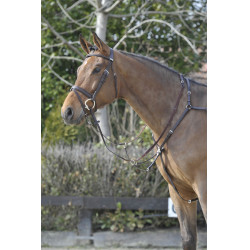 Pettorale Stübben SideFit con forchetta amovibile e regolabile Ebano / ebano