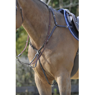 Pettorale Stübben SideFit con forchetta amovibile e regolabile Ebano / ebano