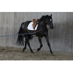 Redini lunghe AKA Stübben Blu / Bianco