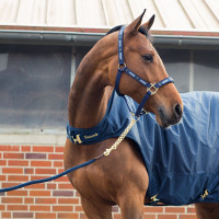 Lunga catena Horze Holbrook Peacoat blu scuro Lunga catena Horze Holbrook Peacoat blu scuro